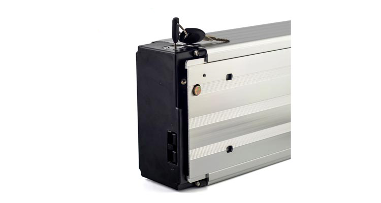 Hailong Ebike Battery