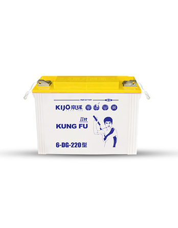 DG Series Tricycle Battery in BD