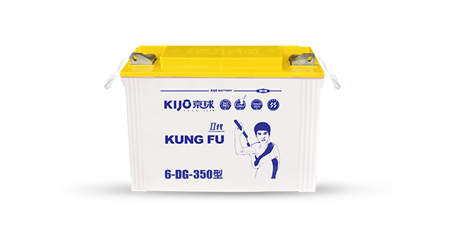 BD Tricycle Battery