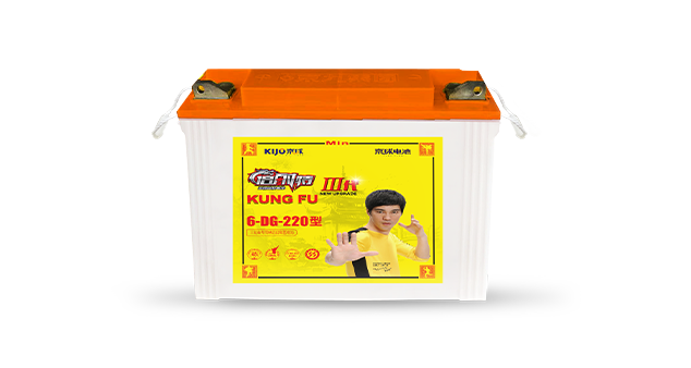 Tricycle Battery